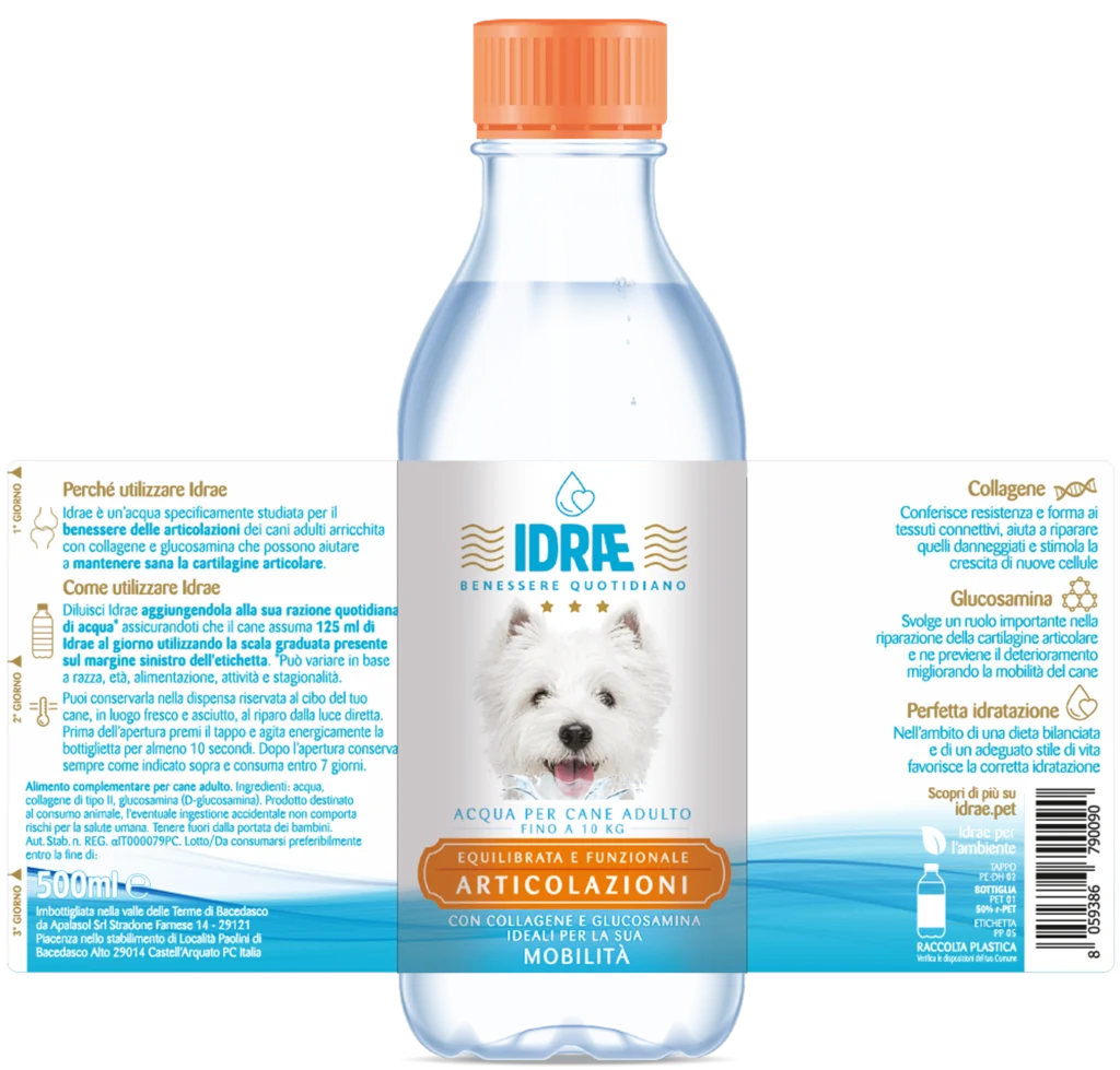 etichetta IDRAE articolazioni Cane