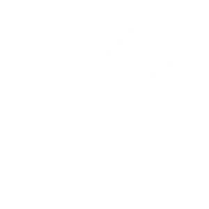icona gatto bianca