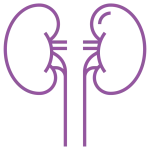 icona reni viola
